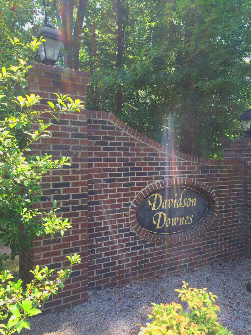 Davidson Downes